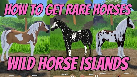 My Horses .